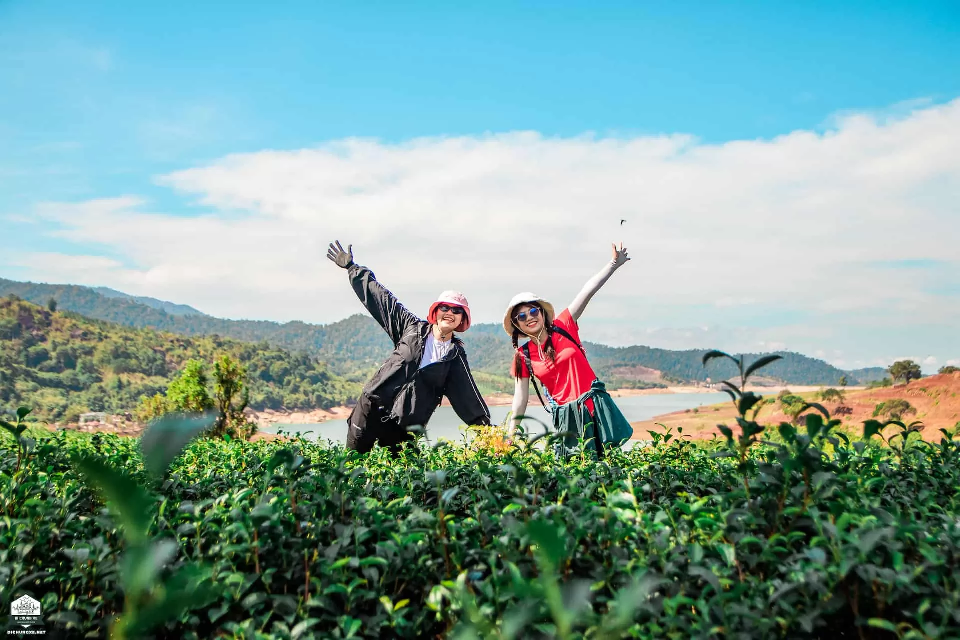 Thác liêng ài - đồi chè Tâm Châu